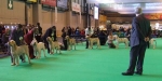 Filename=YD.JPG
Filesize=42KiB
Dimensions=600x300
Date added=Sep 16, 2009 YD.JPG