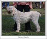 Filename=A-Amelia.jpg
Filesize=98KiB
Dimensions=760x637
Date added=Sep 16, 2009 A-Amelia.jpg