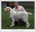 Filename=B-LikelyLad.jpg
Filesize=92KiB
Dimensions=762x675
Date added=Sep 16, 2009 B-LikelyLad.jpg