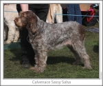 Filename=C-SassySalsa.jpg
Filesize=122KiB
Dimensions=760x637
Date added=Sep 16, 2009 C-SassySalsa.jpg