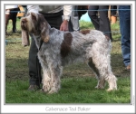Filename=C-TedBaker_.jpg
Filesize=111KiB
Dimensions=761x643
Date added=Sep 16, 2009 C-TedBaker_.jpg