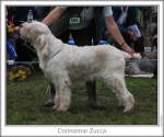 Filename=C-Zucca.jpg
Filesize=100KiB
Dimensions=760x637
Date added=Sep 16, 2009 C-Zucca.jpg