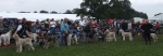 Filename=Dog Lineup.JPG
Filesize=139KiB
Dimensions=1702x600
Date added=Sep 16, 2009 Dog Lineup.JPG