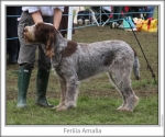 Filename=F-Amalia.jpg
Filesize=122KiB
Dimensions=760x637
Date added=Sep 16, 2009 F-Amalia.jpg