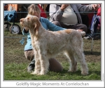 Filename=G-MagicMoments.jpg
Filesize=134KiB
Dimensions=760x637
Date added=Sep 16, 2009 G-MagicMoments.jpg