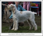 Filename=H-Affinity.jpg
Filesize=105KiB
Dimensions=760x637
Date added=Sep 16, 2009 H-Affinity.jpg
