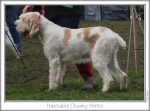 Filename=H-CheekyVimto.jpg
Filesize=72KiB
Dimensions=757x565
Date added=Sep 16, 2009 H-CheekyVimto.jpg