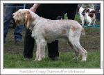 Filename=H-CrazyDiamond.jpg
Filesize=79KiB
Dimensions=756x553
Date added=Sep 16, 2009 H-CrazyDiamond.jpg