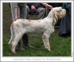Filename=H-DidierHerbert.jpg
Filesize=95KiB
Dimensions=760x636
Date added=Sep 16, 2009 H-DidierHerbert.jpg