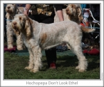 Filename=H-DontLookEthel.jpg
Filesize=113KiB
Dimensions=760x637
Date added=Sep 16, 2009 H-DontLookEthel.jpg