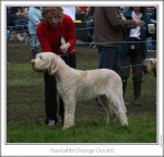 Filename=H-GeorgeGoulet.jpg
Filesize=93KiB
Dimensions=765x736
Date added=Sep 16, 2009 H-GeorgeGoulet.jpg