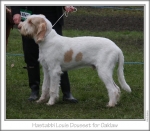 Filename=H-LouisDousset.jpg
Filesize=84KiB
Dimensions=762x669
Date added=Sep 16, 2009 H-LouisDousset.jpg