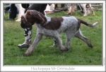 Filename=H-MrGrimsdale-2.jpg
Filesize=77KiB
Dimensions=755x523
Date added=Sep 16, 2009 H-MrGrimsdale-2.jpg