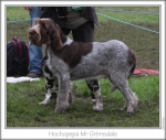 Filename=H-MrGrimsdale.jpg
Filesize=95KiB
Dimensions=761x645
Date added=Sep 16, 2009 H-MrGrimsdale.jpg