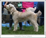 Filename=H-PierrePaillard.jpg
Filesize=90KiB
Dimensions=759x621
Date added=Sep 16, 2009 H-PierrePaillard.jpg