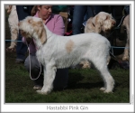 Filename=H-PinkGin.jpg
Filesize=90KiB
Dimensions=760x637
Date added=Sep 16, 2009 H-PinkGin.jpg
