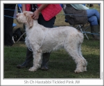 Filename=H-TickledPink.jpg
Filesize=95KiB
Dimensions=760x637
Date added=Sep 16, 2009 H-TickledPink.jpg