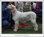 Filename=I-Pandora.jpg
Filesize=101KiB
Dimensions=760x637
Date added=Sep 16, 2009 I-Pandora.jpg