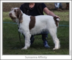 Filename=S-Affinity.jpg
Filesize=91KiB
Dimensions=760x637
Date added=Sep 16, 2009 S-Affinity.jpg