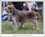 Filename=V-Enthusiastica.jpg
Filesize=119KiB
Dimensions=760x637
Date added=Sep 16, 2009 V-Enthusiastica.jpg