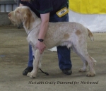 Filename=H-CrazyDiamond.jpg
Filesize=218KiB
Dimensions=600x517
Date added=Sep 16, 2009 H-CrazyDiamond.jpg