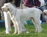 Filename=C-GingerSnap.jpg
Filesize=65KiB
Dimensions=600x477
Date added=Sep 16, 2009 C-GingerSnap.jpg