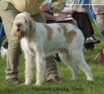 Filename=H-CheekyVimto.jpg
Filesize=72KiB
Dimensions=600x545
Date added=Sep 16, 2009 H-CheekyVimto.jpg