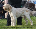 Filename=H-CrazyDiamond.jpg
Filesize=66KiB
Dimensions=600x492
Date added=Sep 16, 2009 H-CrazyDiamond.jpg
