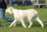 Filename=K-Trevy3.JPG
Filesize=60KiB
Dimensions=600x414
Date added=Sep 16, 2009 K-Trevy3.JPG