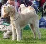 Filename=P-Guinevere.jpg
Filesize=86KiB
Dimensions=600x568
Date added=Sep 16, 2009 P-Guinevere.jpg