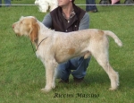 Filename=R-Massino.jpg
Filesize=63KiB
Dimensions=600x463
Date added=Sep 16, 2009 R-Massino.jpg