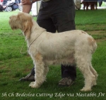 Filename=B-CuttingEdge.jpg
Filesize=67KiB
Dimensions=600x566
Date added=Sep 16, 2009 B-CuttingEdge.jpg