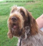 Filename=B-Jameson.jpg
Filesize=75KiB
Dimensions=600x631
Date added=Sep 16, 2009 B-Jameson.jpg