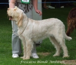 Filename=F-BlondeAmbition.jpg
Filesize=62KiB
Dimensions=600x522
Date added=Sep 16, 2009 F-BlondeAmbition.jpg
