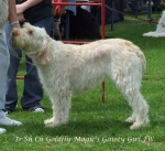 Filename=G-MagicGaietyGirl.jpg
Filesize=73KiB
Dimensions=600x550
Date added=Sep 16, 2009 G-MagicGaietyGirl.jpg