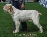 Filename=G-MagicWizard.jpg
Filesize=62KiB
Dimensions=600x473
Date added=Sep 16, 2009 G-MagicWizard.jpg