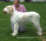 Filename=H-PinkGin.jpg
Filesize=70KiB
Dimensions=600x537
Date added=Sep 16, 2009 H-PinkGin.jpg