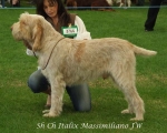 Filename=I-Massimiliano.jpg
Filesize=59KiB
Dimensions=600x481
Date added=Sep 16, 2009 I-Massimiliano.jpg