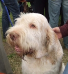 Filename=Jack.JPG
Filesize=65KiB
Dimensions=600x644
Date added=Sep 16, 2009 Jack.JPG