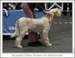 Filename=H-DidierHerbert.jpg
Filesize=80KiB
Dimensions=758x583
Date added=Sep 16, 2009 H-DidierHerbert.jpg