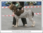 Filename=H-MrGrimsdale.jpg
Filesize=96KiB
Dimensions=758x583
Date added=Sep 16, 2009 H-MrGrimsdale.jpg