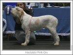 Filename=H-PinkGin.jpg
Filesize=82KiB
Dimensions=758x583
Date added=Sep 16, 2009 H-PinkGin.jpg