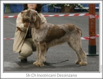 Filename=I-Dessinzano.jpg
Filesize=94KiB
Dimensions=758x583
Date added=Sep 16, 2009 I-Dessinzano.jpg
