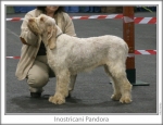 Filename=I-Pandora.jpg
Filesize=82KiB
Dimensions=758x583
Date added=Sep 16, 2009 I-Pandora.jpg