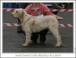 Filename=J-SweetLittleMystery.jpg
Filesize=87KiB
Dimensions=758x583
Date added=Sep 16, 2009 J-SweetLittleMystery.jpg