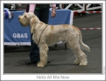 Filename=N-AllRiteNow.jpg
Filesize=78KiB
Dimensions=758x583
Date added=Sep 16, 2009 N-AllRiteNow.jpg