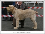 Filename=P-Guinevere.jpg
Filesize=82KiB
Dimensions=758x583
Date added=Sep 16, 2009 P-Guinevere.jpg