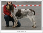 Filename=R-Fable.jpg
Filesize=83KiB
Dimensions=758x583
Date added=Sep 16, 2009 R-Fable.jpg