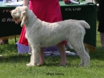Filename=A-Amelia.jpg
Filesize=70KiB
Dimensions=750x568
Date added=Sep 16, 2009 A-Amelia.jpg
