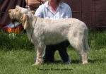 Filename=F-BlondeAmbition.jpg
Filesize=86KiB
Dimensions=750x528
Date added=Sep 16, 2009 F-BlondeAmbition.jpg